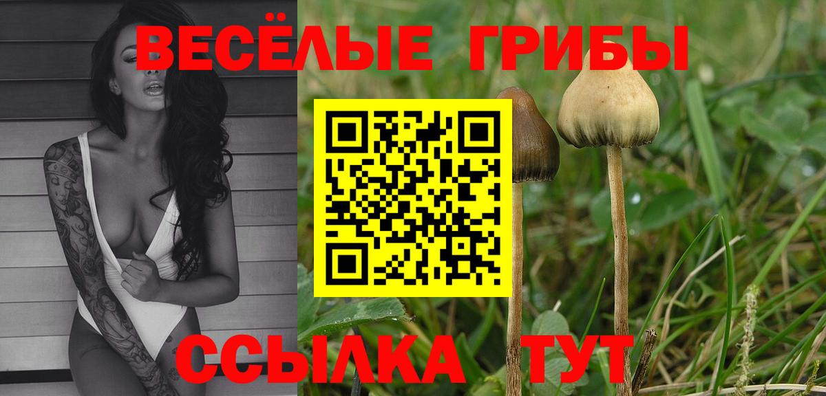 Галлюциногенные грибы мухоморы  Вход с VPN  Добрянка 