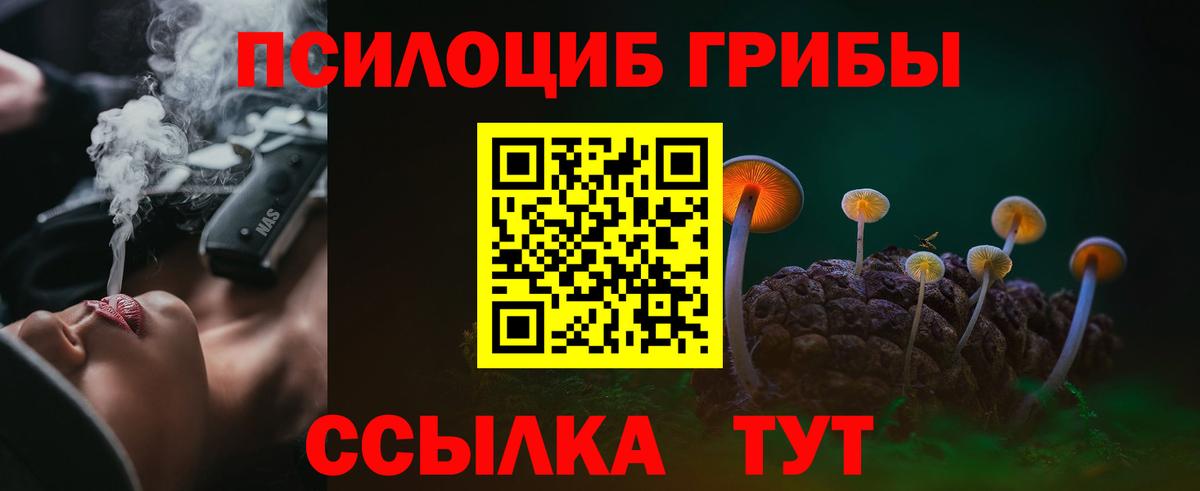 Галлюциногенные грибы GOLDEN TEACHER Добрянка